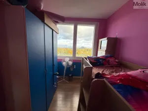 Pronájem bytu 3+1, Most, Růžová, 1111 m2