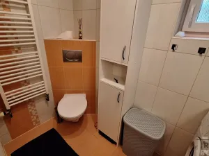 Pronájem bytu 2+1, Ústí nad Labem, Alešova, 49 m2