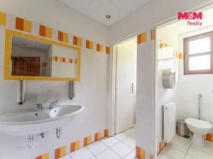 Prodej rodinného domu, Horní Slavkov, Ke Koupališti, 443 m2