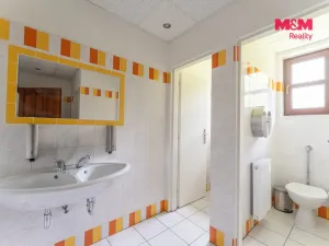 Prodej ubytování, Horní Slavkov, Ke Koupališti, 443 m2