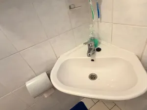 Prodej chaty, Nepomyšl - Nová Ves, 102 m2