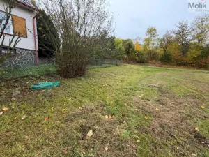 Prodej chaty, Nepomyšl - Nová Ves, 102 m2