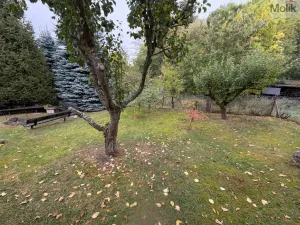 Prodej chaty, Nepomyšl - Nová Ves, 102 m2