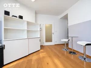 Prodej bytu 2+kk, Plzeň, Šafaříkovy sady, 60 m2