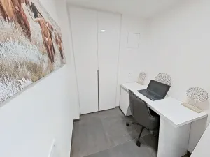 Pronájem bytu 2+kk, Praha - Žižkov, Malešická, 64 m2