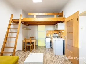 Pronájem bytu 1+kk, Praha - Holešovice, Přístavní, 20 m2