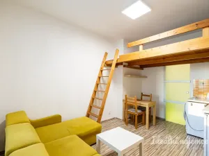 Pronájem bytu 1+kk, Praha - Holešovice, Přístavní, 20 m2