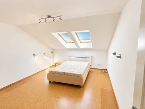 Prodej vícegeneračního domu, Plzeň, 28. října, 983 m2