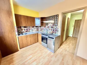 Pronájem bytu 1+1, Havlíčkův Brod, Na Spravedlnosti, 40 m2