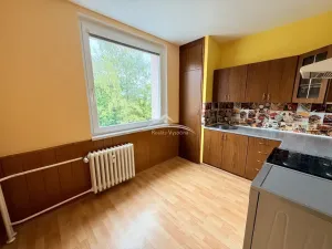 Pronájem bytu 1+1, Havlíčkův Brod, Na Spravedlnosti, 40 m2