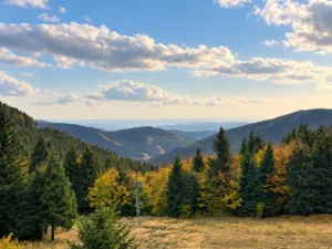 Prodej chalupy, Loučná nad Desnou - Kouty nad Desnou, 39 m2