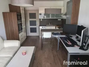 Pronájem bytu 2+kk, Brno, Slovinská, 45 m2