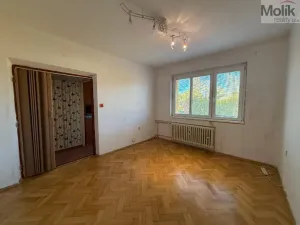 Prodej bytu 2+1, Bílina - Teplické Předměstí, M. Švabinského, 56 m2