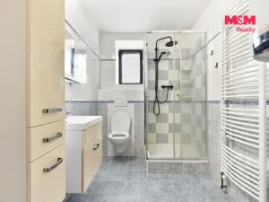 Pronájem bytu 2+kk, Velké Všelisy - Malé Všelisy, 64 m2