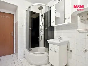 Pronájem bytu 3+1, Velké Všelisy - Malé Všelisy, 85 m2