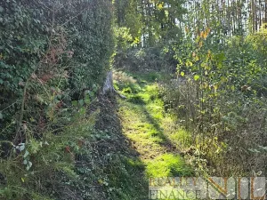 Prodej chaty, Pňovany, 54 m2