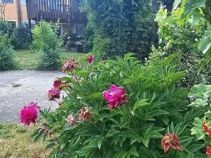 Prodej bytu 5+kk, Tišice, Hasičská, 120 m2