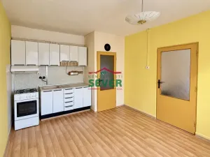 Prodej bytu 1+1, Litvínov - Horní Litvínov, U Zámeckého parku, 35 m2