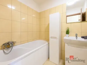 Pronájem bytu 2+kk, Plzeň - Bolevec, U Velkého rybníka, 59 m2