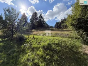Prodej rodinného domu, Horní Paseka, 100 m2