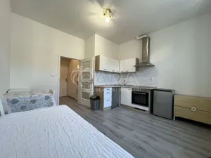 Pronájem bytu 1+kk, Praha - Braník, Na vinohradu, 22 m2