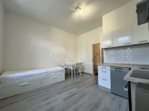 Pronájem bytu 1+kk, Praha - Braník, Na vinohradu, 22 m2