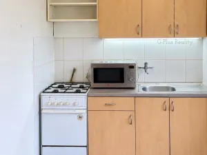 Prodej bytu 1+1, Litvínov - Chudeřín, Horská, 32 m2