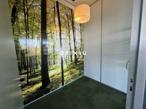Pronájem kanceláře, Brno - Královo Pole, Podnikatelská, 62 m2
