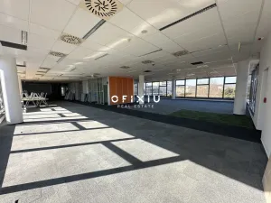 Pronájem kanceláře, Brno - Královo Pole, Technická, 122 m2