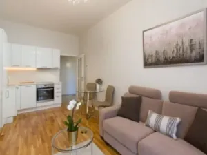 Pronájem bytu 2+kk, Praha - Žižkov, Ondříčkova, 48 m2