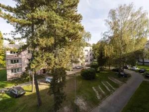 Pronájem bytu 3+1, Ostrava - Zábřeh, Pavlovova, 78 m2