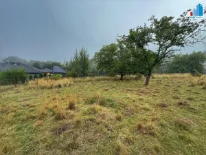 Prodej pozemku pro bydlení, Zbůch, Plzeňská, 1 m2