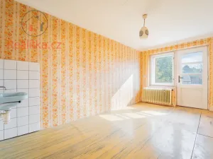 Prodej rodinného domu, Dvůr Králové nad Labem, R. A. Dvorského, 244 m2
