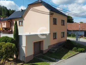 Prodej atypického bytu, Velké Opatovice, Sokolská, 450 m2