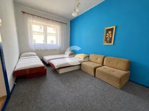 Prodej atypického bytu, Velké Opatovice, Sokolská, 450 m2