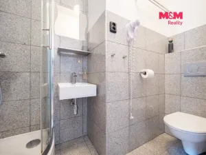 Prodej bytu 1+kk, Praha - Nové Město, Školská, 17 m2