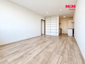 Prodej bytu 2+kk, Mladá Boleslav, Jana Palacha, 42 m2