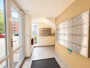 Pronájem bytu 2+kk, České Budějovice - České Budějovice 2, U Boru, 40 m2