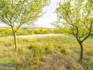 Prodej pozemku pro bydlení, Ostrožská Lhota, 490 m2