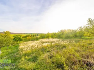 Prodej pozemku pro bydlení, Ostrožská Lhota, 490 m2