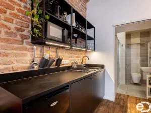 Pronájem bytu 1+kk, Praha - Žižkov, Dalimilova, 32 m2