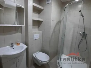 Pronájem bytu 1+kk, Opava - Kateřinky, Ratibořská, 22 m2