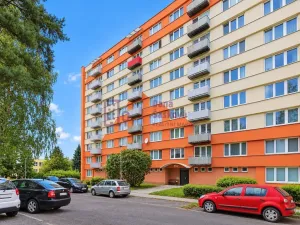 Pronájem bytu 3+1, Jindřichův Hradec - Jindřichův Hradec III, sídliště Vajgar, 65 m2