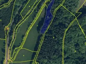 Prodej podílu lesa, Stará Paka, 2755 m2