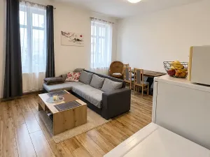 Prodej bytu 2+kk, Liberec, Na Bojišti, 50 m2