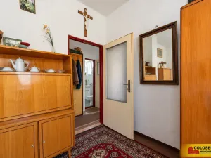 Prodej rodinného domu, Hrušovany nad Jevišovkou, 47 m2