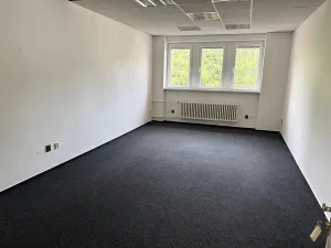 Pronájem kanceláře, Praha - Žižkov, U zásobní zahrady, 26 m2
