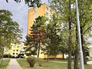 Prodej bytu 1+1, Veselí nad Moravou, Kollárova, 30 m2