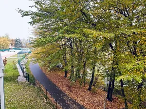 Prodej bytu 2+kk, Karlovy Vary, Chebská, 64 m2
