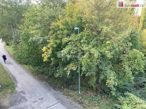 Pronájem bytu 2+kk, Plzeň, Na Roháči, 64 m2